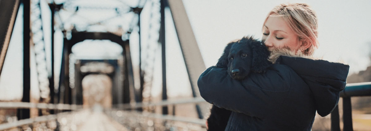 paw-sitively-heart-warming_1200x424