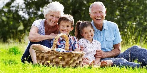 Two grandparents picnicking with two grandchildren