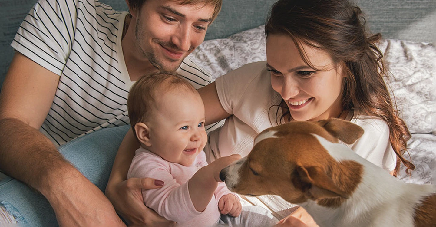 How to Introduce Your Baby to the Family Pet.